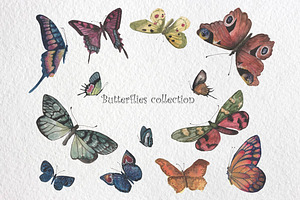 Butterflies Watercolor Set