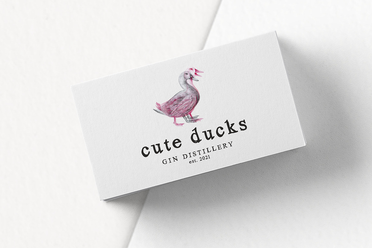 Hand drawn Ducks Illustrations, an Animal Illustration by Greek fonts by nantia.co (Photo 5 of 6)