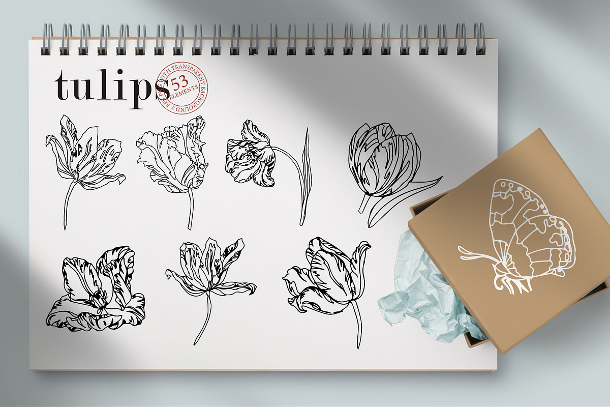 Flowers Line Hand Drawn, a Decorative Illustration by LanaDzi (Photo 8 of 10)