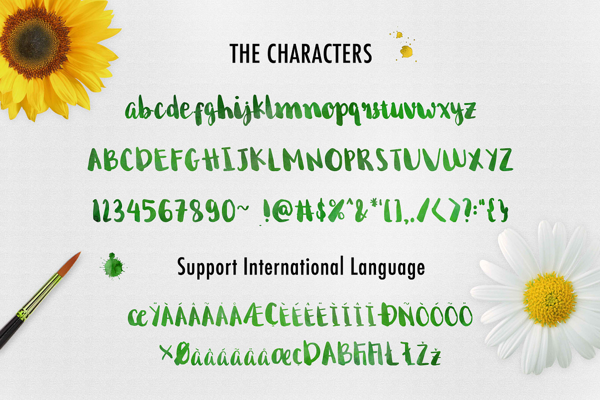Begin Again Brush Typeface preview 3