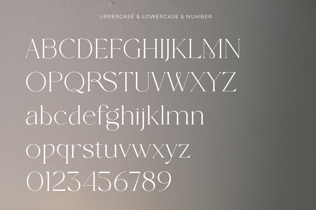 Wolmer - Modern And Elegant Serif, a Serif Font by Muflieart (Photo 9 of 10)