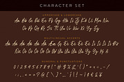 The Rolleta - Handbrush Signature, a Script Font by Almarkhatype (Thumbnail 9 of 11)