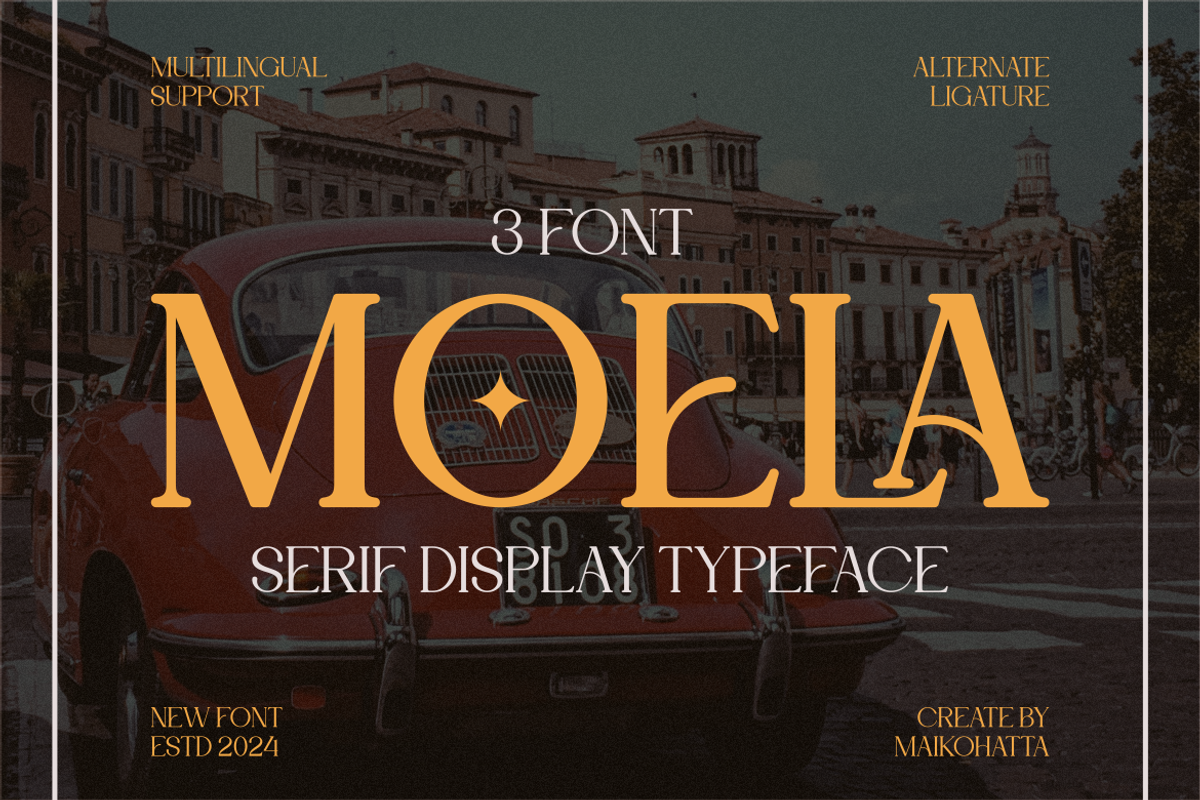 Moela - Serif Display Typeface, a Serif Font by MaikoHatta (Photo 3 of 7)