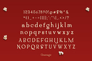 The Silver Screen Duo, a Serif Font by HipFonts (Thumbnail 7 of 7)