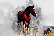 Watercolor Aura Portrait Ps Action, an Action Add-On by Studio Retouch (Thumbnail 6 of 17)