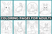 Rabbit in Winter Meadow Coloring, an Animal Illustration by martinblan (Thumbnail 2 of 4)