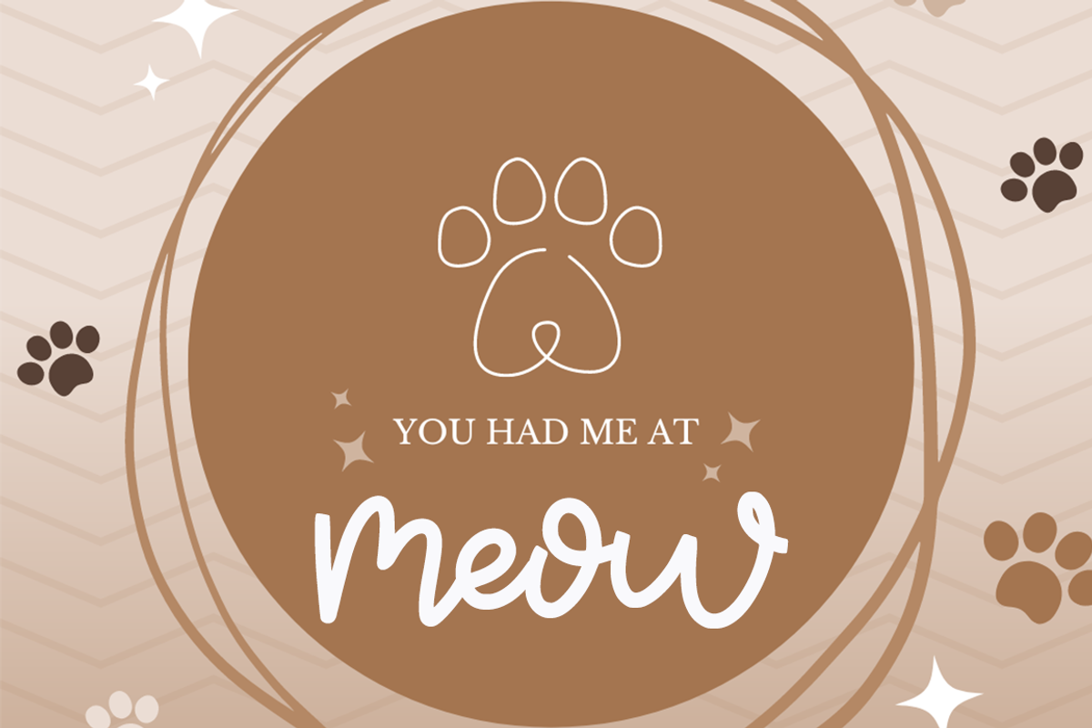 Cute kitten, a Handwritten Font by cocodesign (Photo 4 of 6)