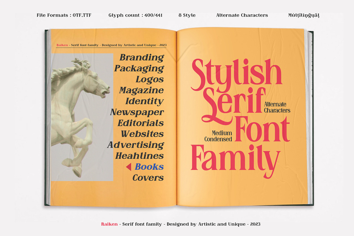Raiken - Serif font family, a Serif Font by Artistic & Unique (Photo 9 of 14)