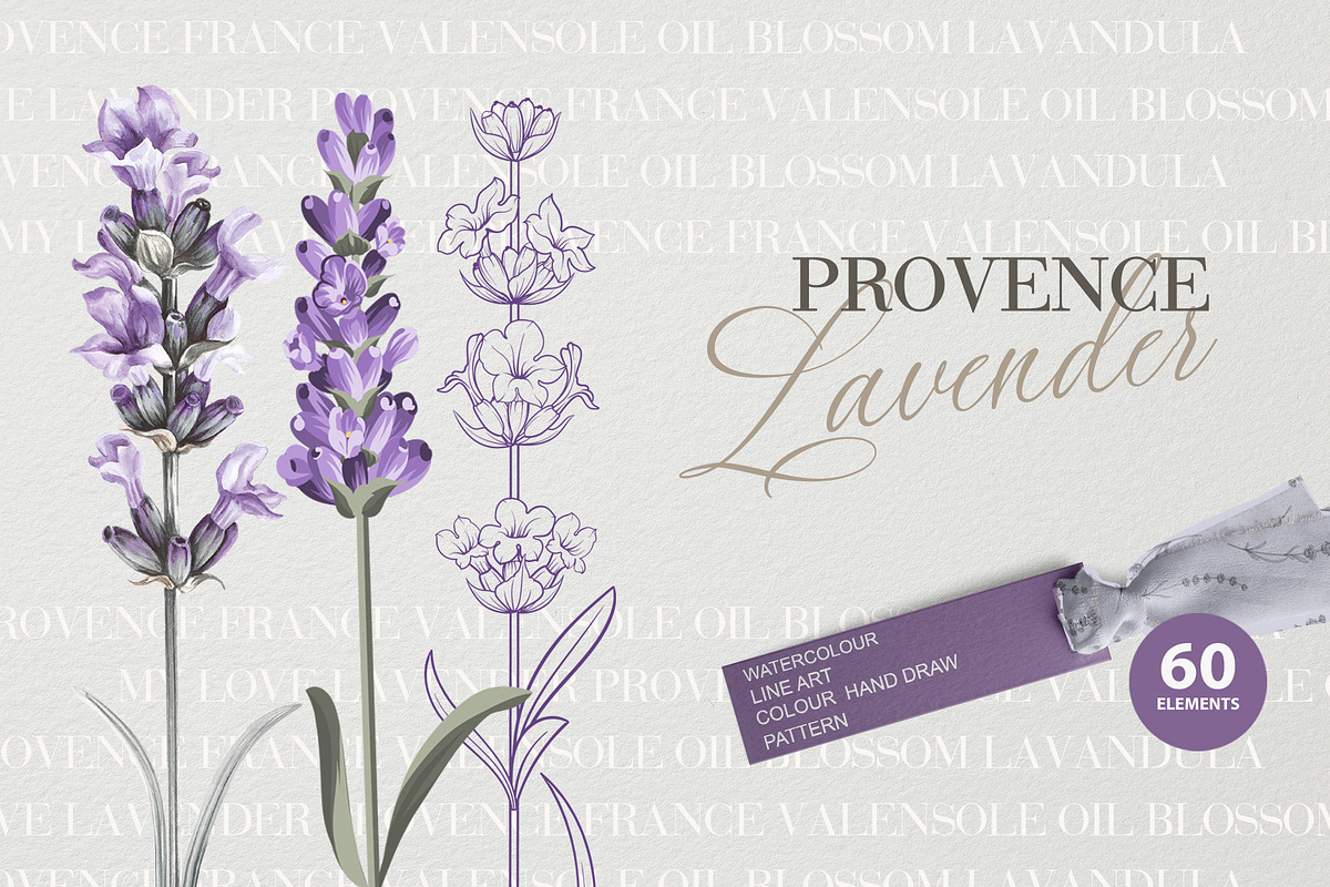 Provence Lavender. Flower set., a Pattern Graphic by Kotkoa (Photo 7 of 8)
