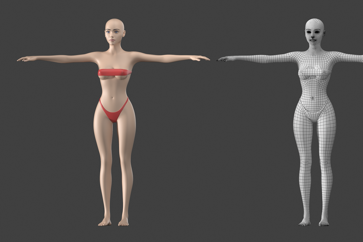 Stylized Female 01 T-Pose Base Mesh, a Characters & Person 3D Model by VK Studio (Photo 2 of 28)