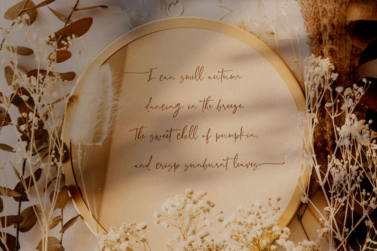 Wonderful Time Script Font preview 8