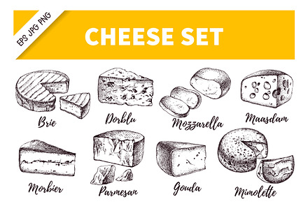 Hand Drawn Cheese Vector Set