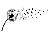 Dandelion Blow Silhouette Bundle, an Illustration by yasushie (Thumbnail 25 of 31)
