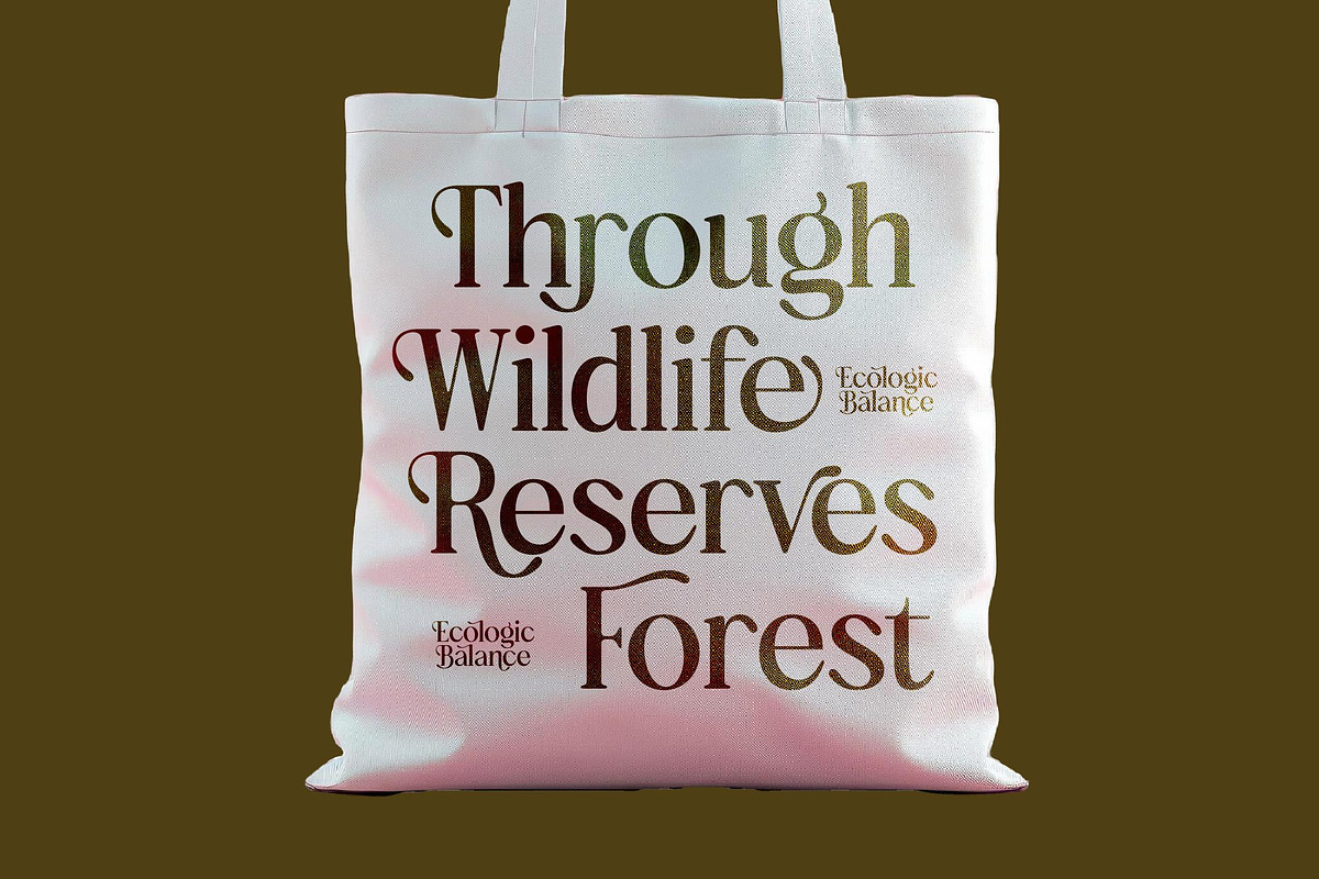 Bulings Nature Vintage Serif, a Serif Font by timelesstype.co (Photo 6 of 20)
