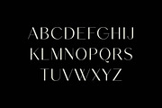 Mirage Stellar Sans Serif Font, a Sans Serif Font by UICreative (Thumbnail 3 of 13)