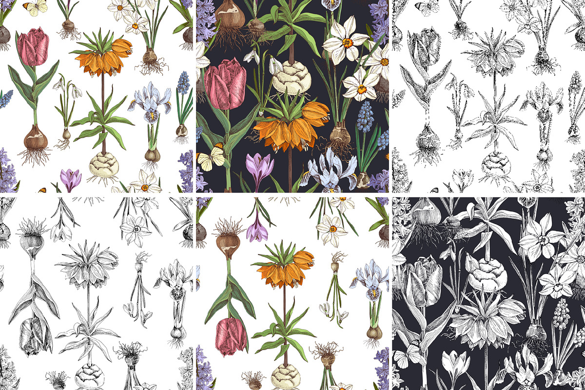 Spring Bulbous flowers, a Decorative Illustration by handsketched (Photo 10 of 10)