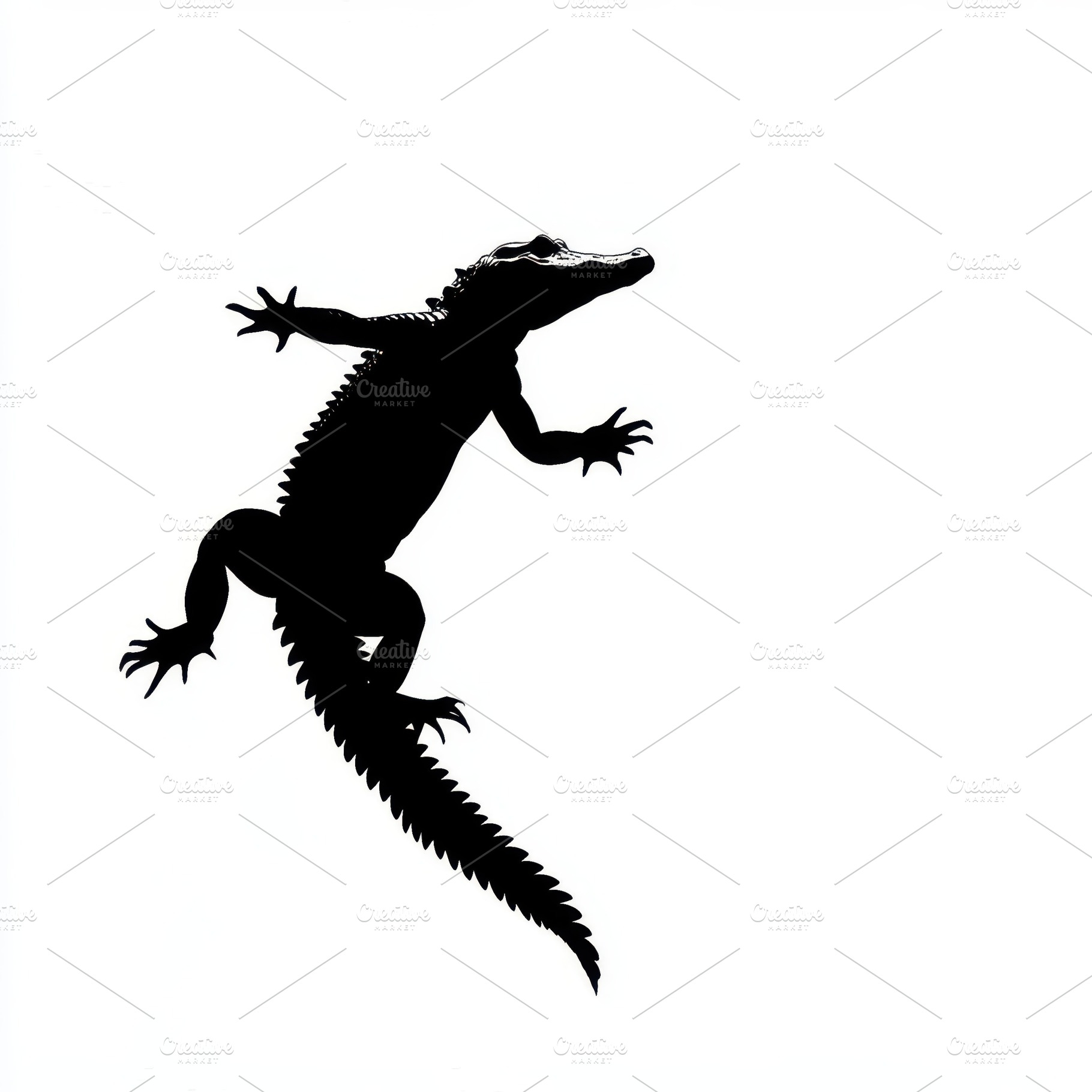 Baby Alligator Silhouette White Back, an Animal Photo by Pixeness Studio