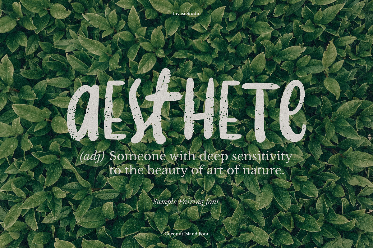 Coconut Island | Display Font, a Font by Invasi Studio (Photo 5 of 12)