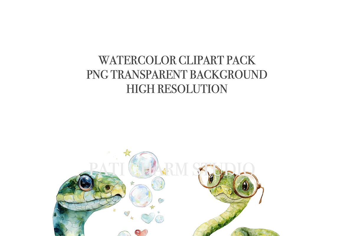 25 Quirky Snake Clipart PNGs, an Animal Illustration by Pati Charm Studio (Photo 4 of 8)
