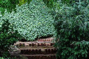 Autumnal garden with seasonal plants and flowers, a Nature Photo by Anna Bogush