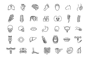 Human Internal Organs, a Healthcare Illustration by Tettygreen