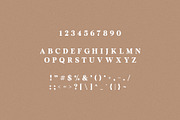 Avenger - Vintage Serif, a Serif Font by Schrifted Type (Thumbnail 7 of 8)