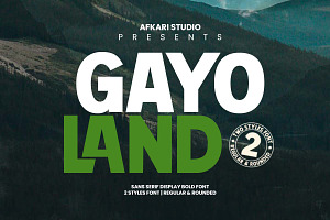 Gayo Land - Sans Serif Display Bold