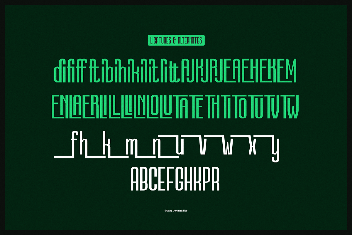 Buckjack | Condendsed Sans Serif, a Sans Serif Font by Denustudios (Photo 12 of 12)