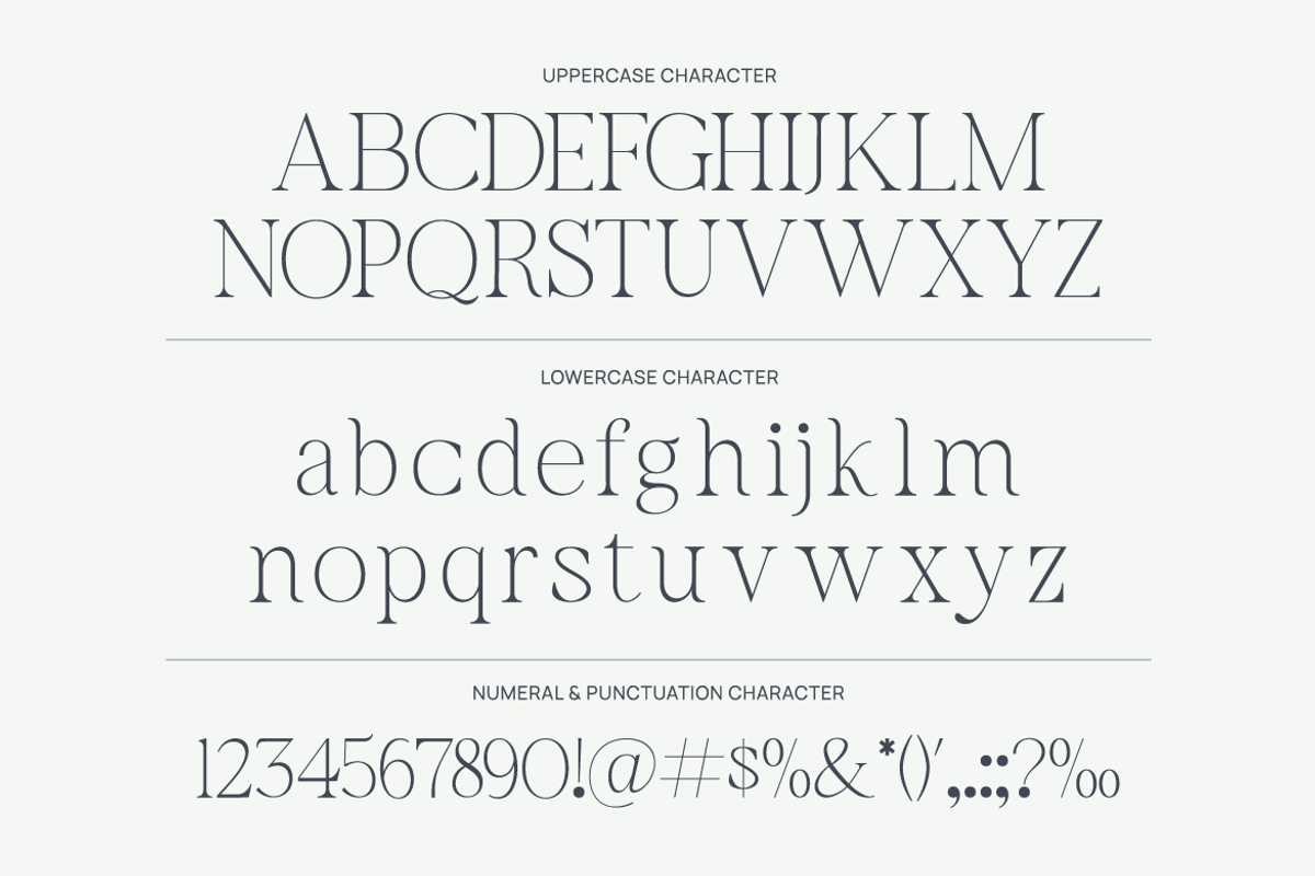 Bavelina Modern Elegant Serif Font, a Serif Font by Rasio Studio (Photo 2 of 9)