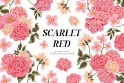 SCARLET RED - Flower Collection, an Object Graphic by Artflorara (Thumbnail 11 of 12)