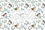 Robin Bird Seamless Pattern, an Illustration by Pati Charm Studio (Thumbnail 1 of 7)