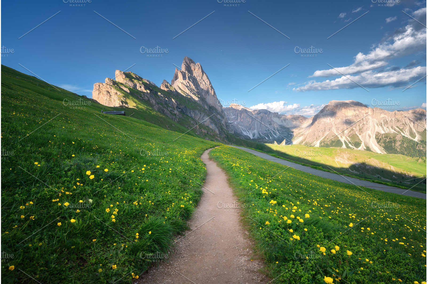 Path with vibrant wildflowers in, a Nature Photo by den-belitsky