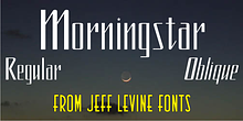 Morningstar JNL
