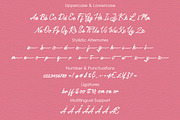 Handy Script, a Script Font by Almeera Std (Thumbnail 5 of 6)