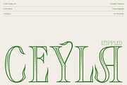 Ceyla Stippled, a Serif Font by Craft Supply Co. (Thumbnail 1 of 8)