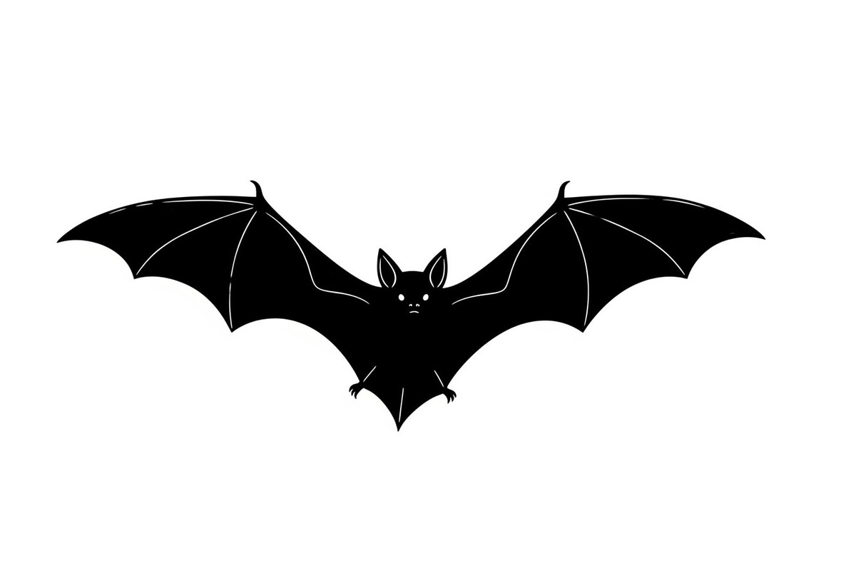 Minimal Horror Bat Silhouette Bundle, an Illustration by Designs_River (Photo 33 of 51)