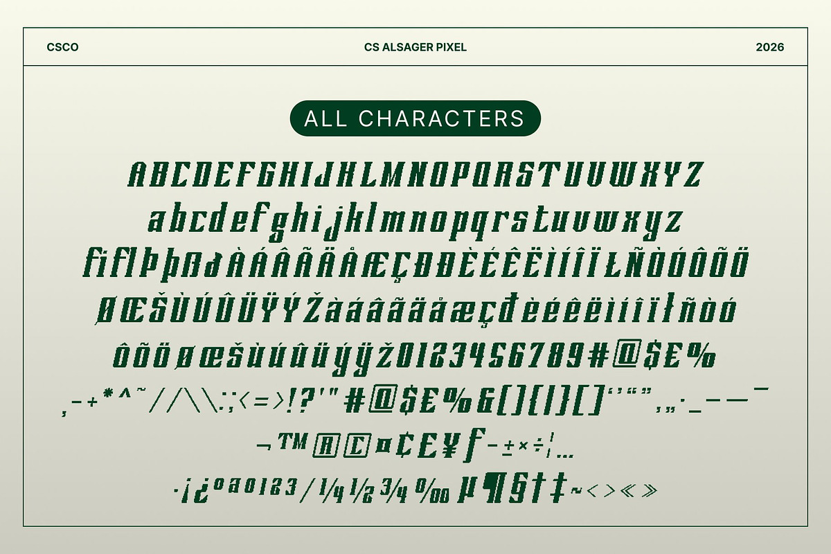 CS Alsager Pixel, a Serif Font by Craft Supply Co. (Photo 8 of 8)