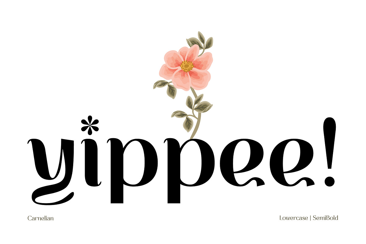 CARNELIAN - Display Variable Type, a Sans Serif Font by Artflorara (Photo 4 of 16)