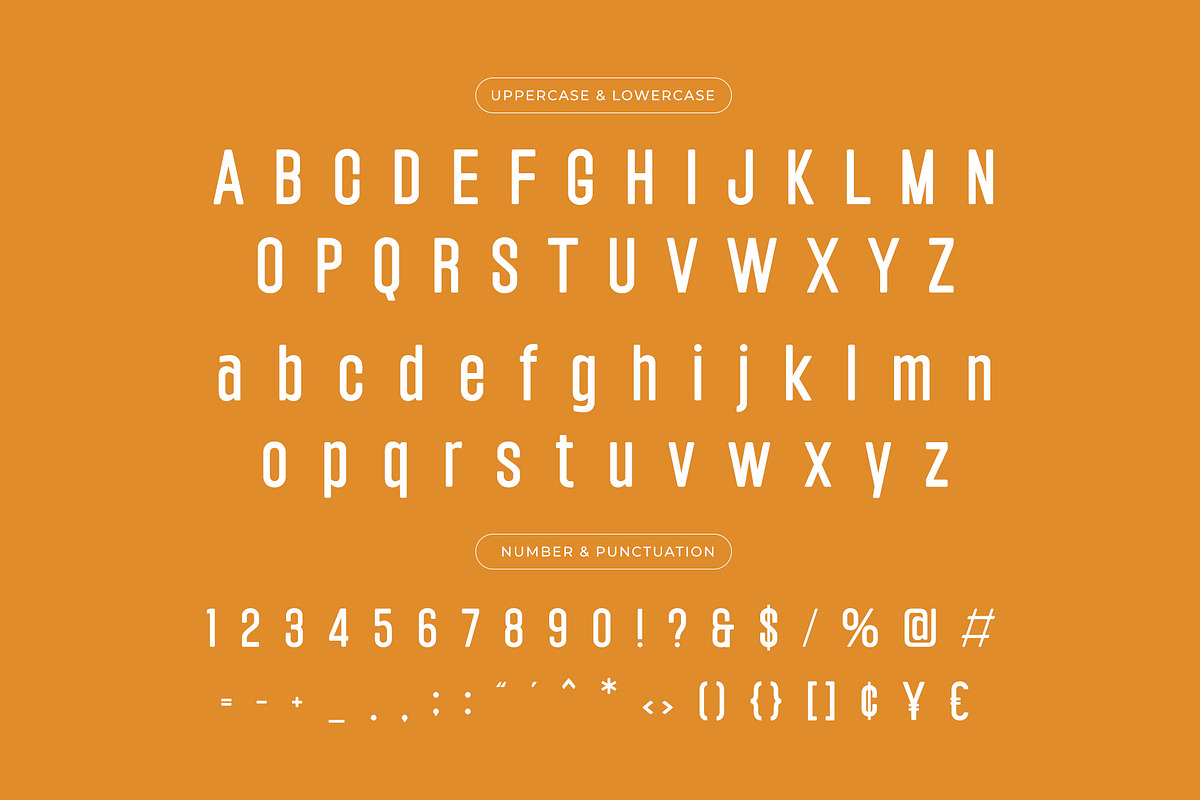 Estylo - Display Sans, a Sans Serif Font by Almeera Std (Photo 3 of 6)