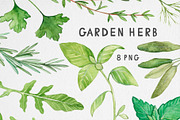 Watercolor Garden Herb Set, a Food Illustration by MilanaDesignShop (Thumbnail 1 of 3)