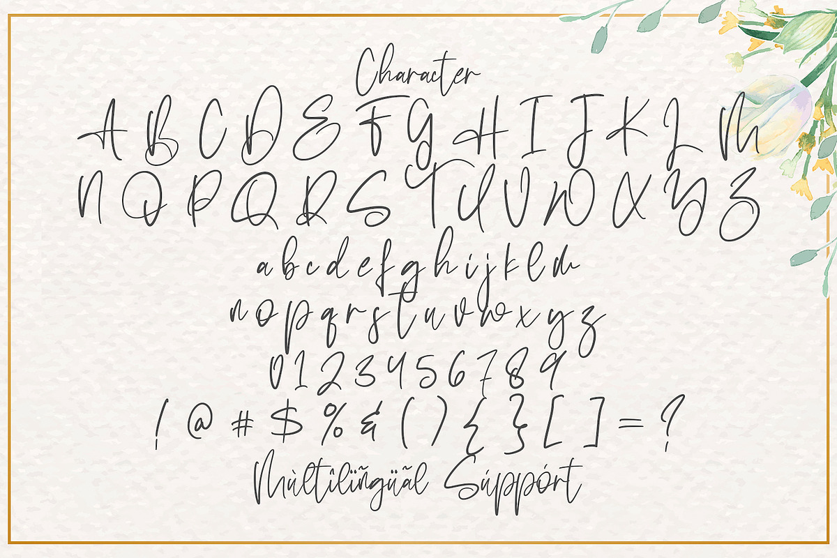 Sabina Angellica - Script Font, a Script Font by StringLabs (Photo 10 of 11)