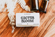 Rodeo Girls | Modern Western Font, a Serif Font by KA Designs (Thumbnail 8 of 12)