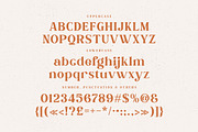 Bogimber - Retro Display Serif, a Serif Font by Cruzine (Thumbnail 4 of 10)