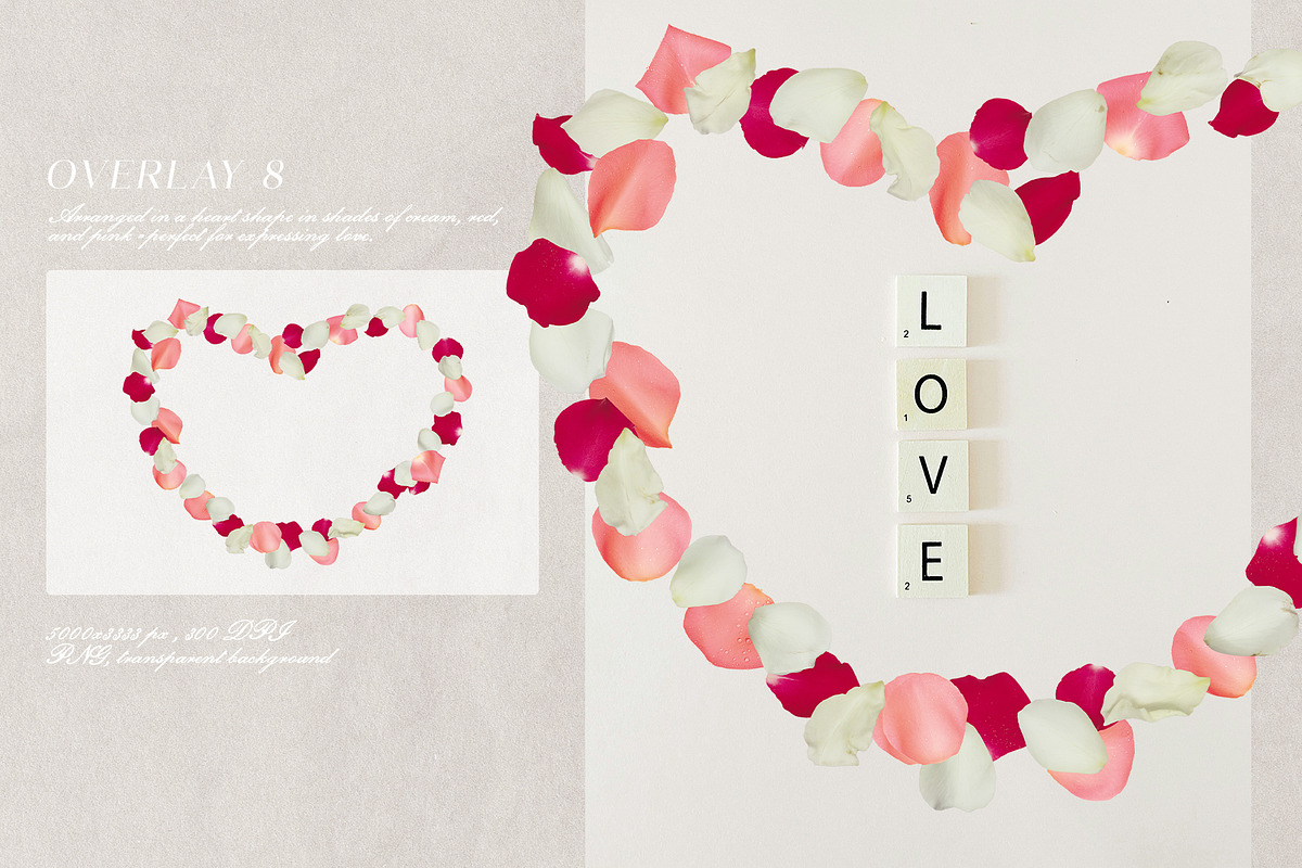 Multicolored Rose Petals Overlays, a Texture Graphic by Kaleriia (Photo 9 of 16)