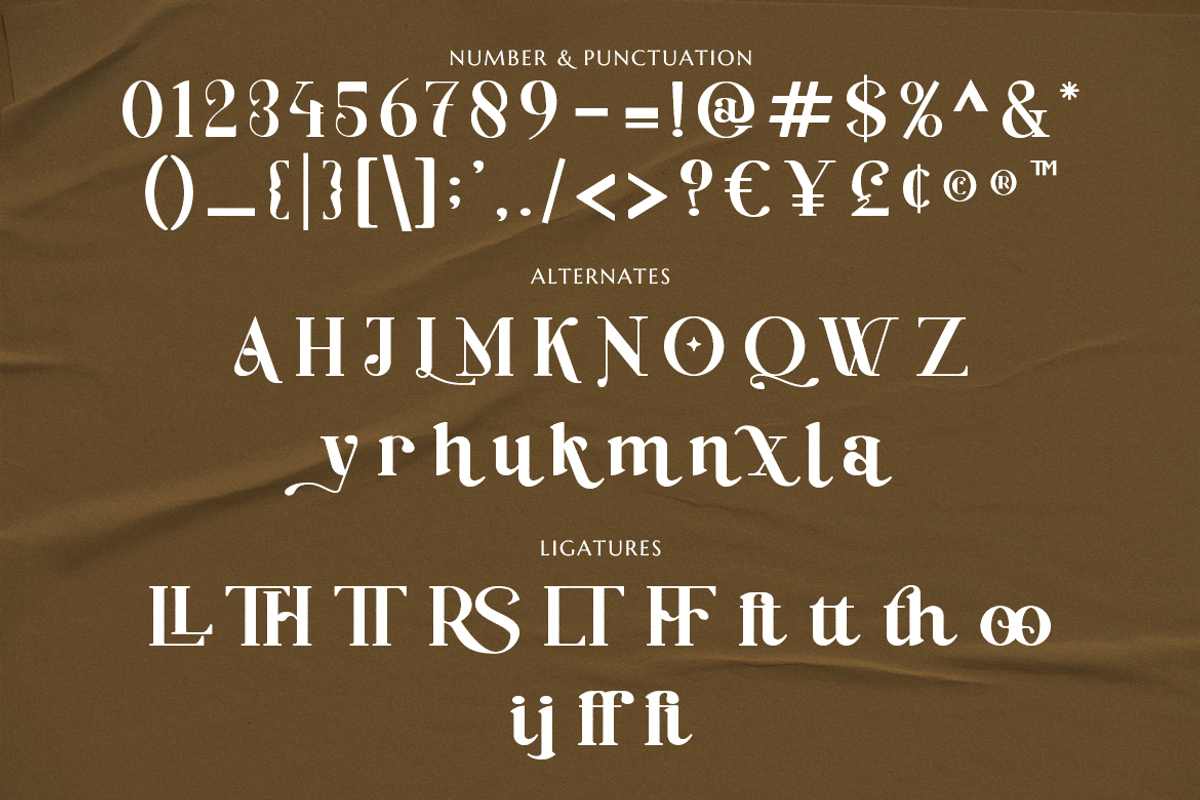 Baginks Birkin Serif, a Serif Font by Creatype Studio (Photo 7 of 10)