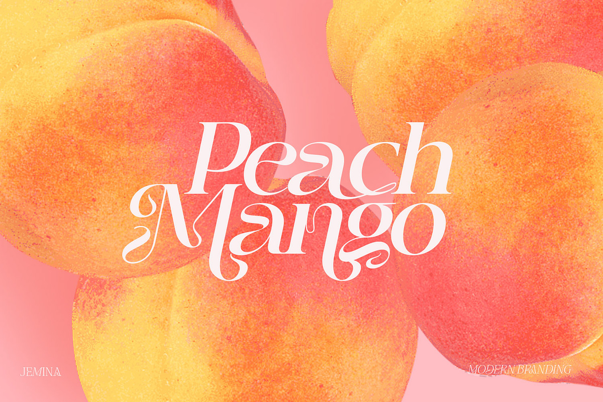 Jemina - Modern Branding Family, a Serif Font by creativemedialab (Photo 9 of 15)