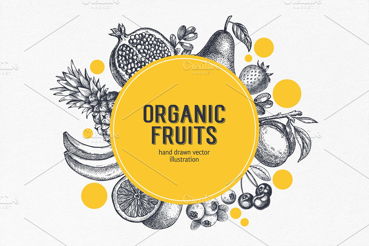 Fruits. Hand drawn collection., a Food Illustration by natadanko (Photo 4 of 4)