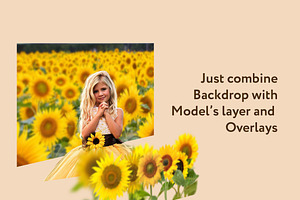 Sunflower Photo Overlays Backdrops