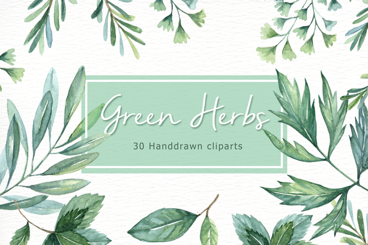 Green Herbs Watercolor clipart, a Food Illustration by everysunsun (Photo 2 of 5)