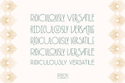 Lempicka Font Duo & Vector Ornaments, a Font by Molly Suber Thorpe (Thumbnail 8 of 11)
